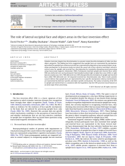 The role of lateral occipital face and object areas in the face