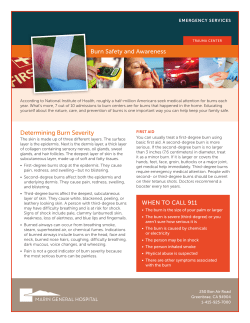 Determining Burn Severity