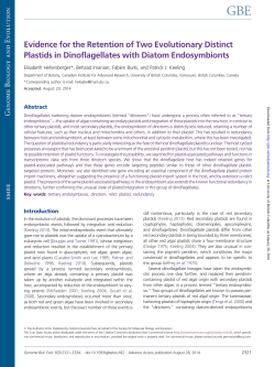 Evidence for the Retention of Two Evolutionary