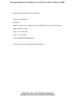 Chlorophyll b Reductase Plays an Essential Role in Maturation and