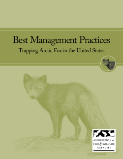 NEW! Artic Fox - Association of Fish and Wildlife Agencies