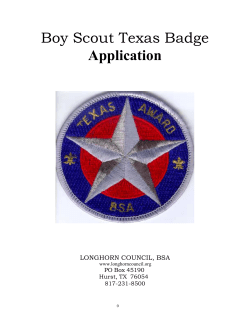 TEXAS Badge - Boy Scout Application