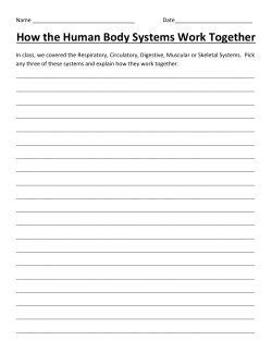 How the Human Body Systems Work Together