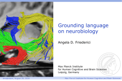 Grounding Language on Neurobiology