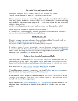Gardening and Landscape Care in the month of