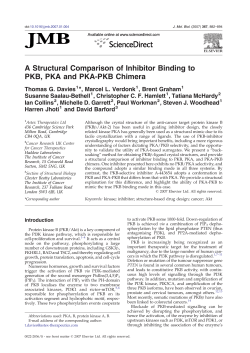 A Structural Comparison of Inhibitor Binding to PKB, PKA and PKA