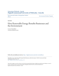 How Renewable Energy Benefits Businesses and the Environment