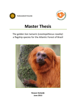 The Golden Lion Tamarin Conservation Program