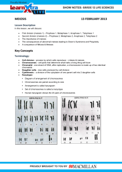MEIOSIS 13 FEBRUARY 2013