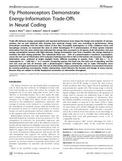 Fly Photoreceptors Demonstrate Energy-Information Trade