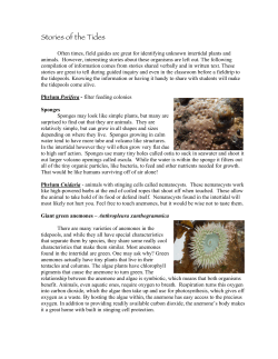 Stories of the Tides