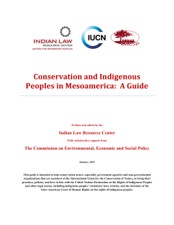 Conservation and Indigenous Peoples in Mesoamerica: A Guide