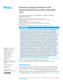 Natural variation in teosinte at the domestication locus