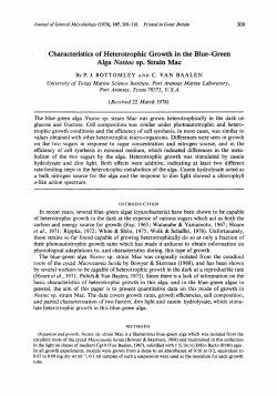 Characteristics of Heterotrophic Growth in the Blue