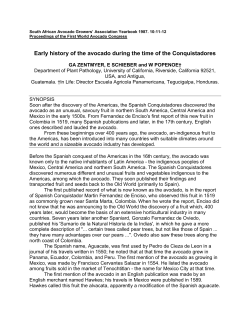 Early history of the avocado during the time of the Conquistadores