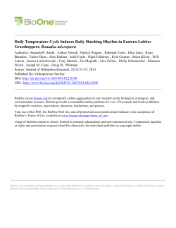 Daily Temperature Cycle Induces Daily Hatching Rhythm in Eastern