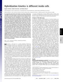 Hybridization kinetics is different inside cells