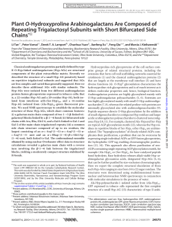 Papers - Ohio University