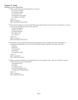 Chapter 31 Fungi Multiple-Choice Questions