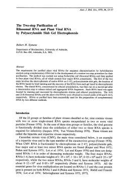 The Two-step Purification of Ribosomal RNA and Plant Viral RNA by