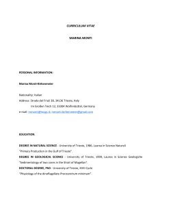 CURRICULUM VITAE MARINA MONTI