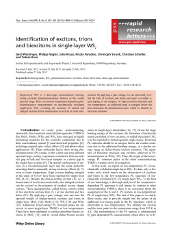 Identification of excitons, trions and biexcitons in singlelayer WS2