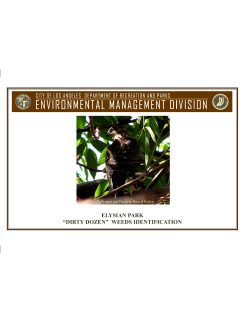 Elysian Park 2 - City of Los Angeles Department of Recreation and
