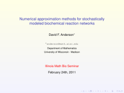 Numerical approximation methods for stochastically modeled