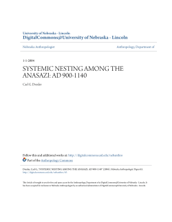 SYSTEMIC NESTING AMONG THE ANASAZI: AD 900-1140