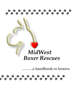 Boxer Handbook - Midwest Boxer Rescues