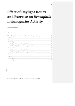 Effect of Daylight Hours and Exercise on Drosophila melanogaster