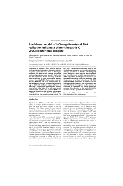 A cell-based model of HCV-negative-strand RNA replication utilizing