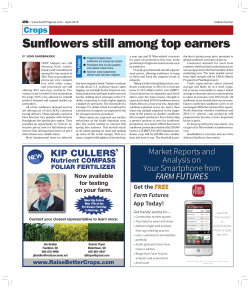 Sunflowers still among top earners