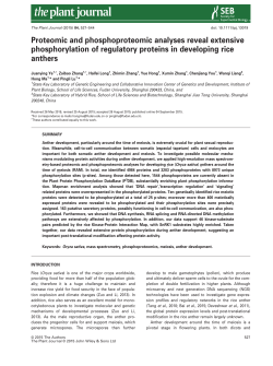 Proteomic and phosphoproteomic analyses