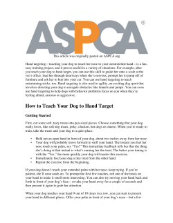 How to Teach Your Dog to Hand Target