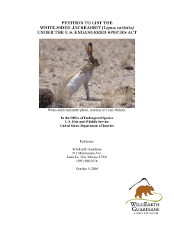 PETITION TO LIST THE WHITE-SIDED JACKRABBIT