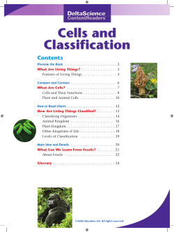 Cells and Classification