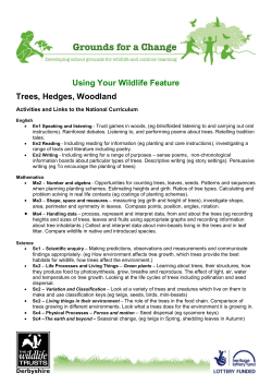 Using Your Wildlife Feature Trees, Hedges, Woodland