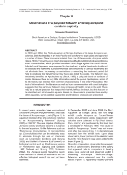 Chapter 6 Observations of a polyclad flatworm affecting acroporid