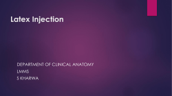 Latex Injection - Clinical Anatomy