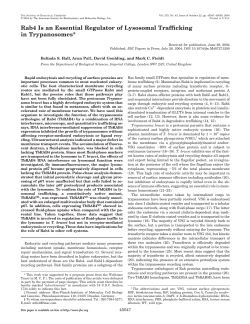 Rab4 Is an Essential Regulator of Lysosomal Trafficking in