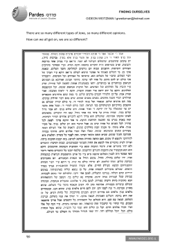 There are so many different types of Jews, so many different