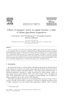 Effects of managers` power on capital structure: a study of