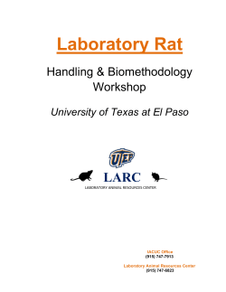 Rat Handling and Biomethodology Handbook 2016