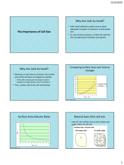 The Importance of Cell Size