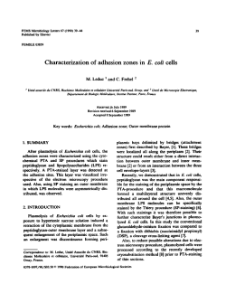 Characterization of adhesion zones in E. coli cells
