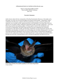 King Island Bats` Survey Report by Lisa Cawthen 2014