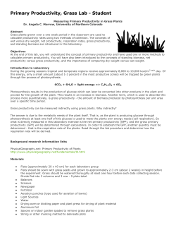 Primary Productivity, Grass Lab