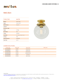 Raid 20cm Globe Ceiling Light Fitting