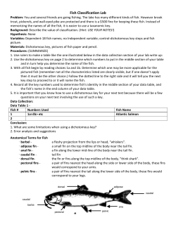 Fish Classification Lab